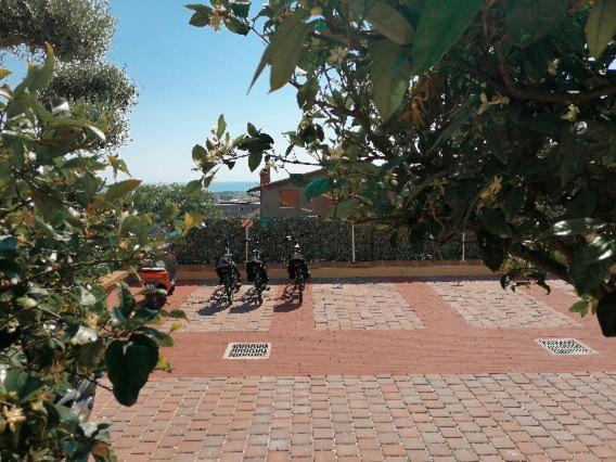Dimora Effe - Eco B&B Termoli Exterior foto